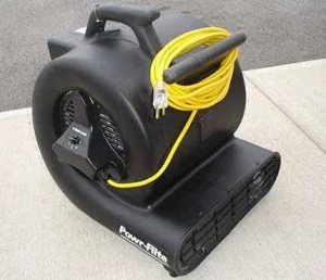Carpet Blower